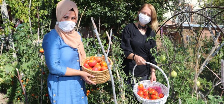 2 bin nüfuslu beldede kurulan kooperatif kadınlara umut oluyor