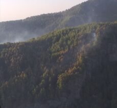 Antalya'da ormanlık alanda çıkan yangın kontrol altına alındı