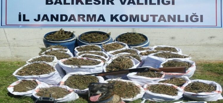 Balıkesir’de 318 kilogram esrar ele geçirildi