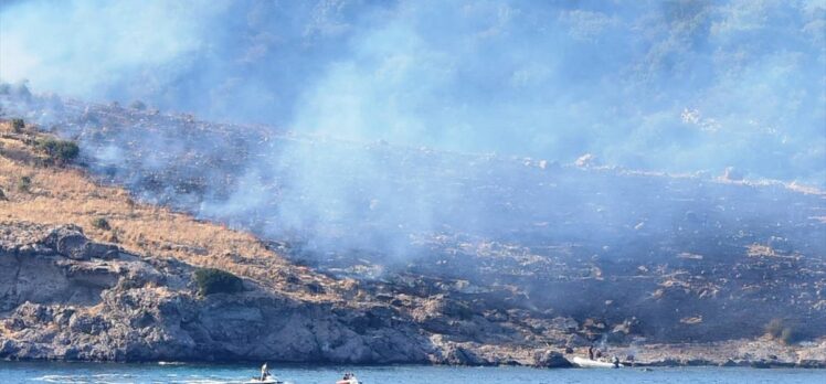 Bodrum'da Büyük Ada'da çıkan yangın söndürüldü