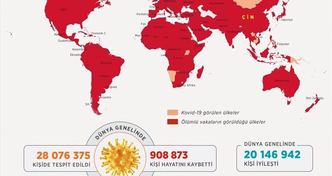 GRAFİKLİ – Dünya genelinde Kovid-19 tespit edilen kişi sayısı 28 milyon 50 bini geçti