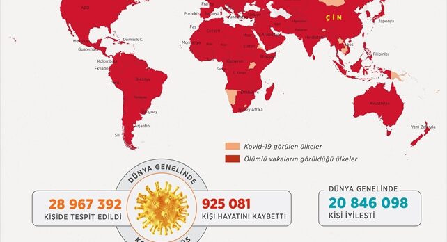 GRAFİKLİ – Dünya genelinde Kovid-19 tespit edilen kişi sayısı 28 milyon 946 bini aştı