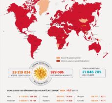 GRAFİKLİ – Dünya genelinde Kovid-19 tespit edilen kişi sayısı 29 milyon 185 bini aştı