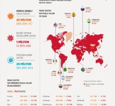 GRAFİKLİ – Dünya genelinde Kovid-19 tespit edilen kişi sayısı 33 milyon 844 bini aştı