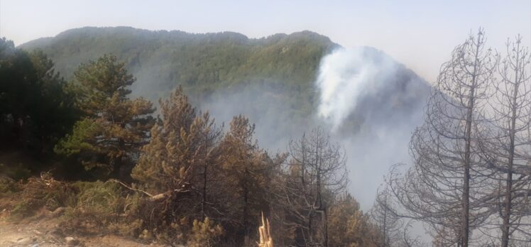 Hatay'daki orman yangınına havadan müdahale tekrar başladı