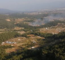 İzmir'de ormanlık alanda yangın çıktı