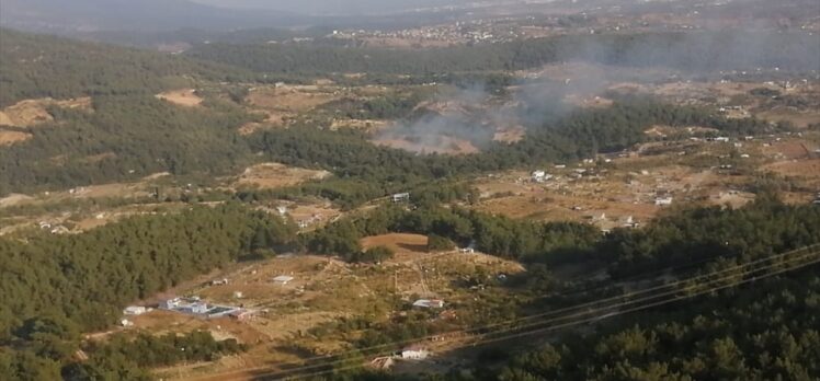 İzmir'de ormanlık alanda yangın çıktı