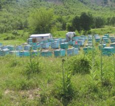 Sahte bal üretenlere ağır cezalar yolda