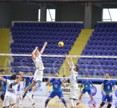 Voleybol: AXA Sigorta Efeler Ligi