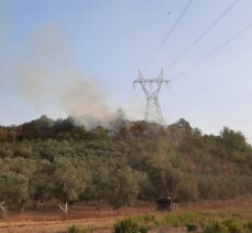 Antalya'da çıkan orman yangınları söndürüldü