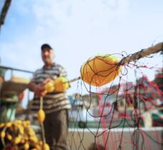 Batı Karadenizli balıkçılar hamsiden umutlu