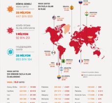 GRAFİKLİ – Dünya genelinde Kovid-19 tespit edilen kişi sayısı 38 milyon 364 bini aştı