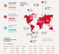 GRAFİKLİ – Dünya genelinde Kovid-19 tespit edilen kişi sayısı 38 milyon 67 bini aştı