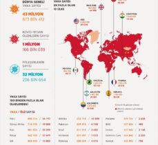 GRAFİKLİ – Dünya genelinde Kovid-19 tespit edilen kişi sayısı 43 milyon 790 bini geçti