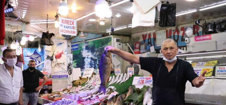 Karadeniz'deki hamsi bolluğu balıkçı tezgahlarını şenlendirdi