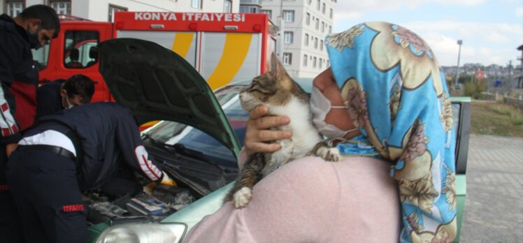 Konya'da girdiği otomobilin motor bölümünde mahsur kalan kediyi itfaiye ekipleri kurtardı