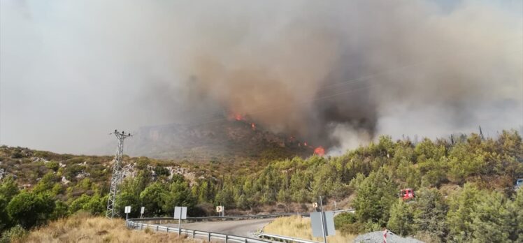 GÜNCELLEME – Mersin'de çıkan orman yangını kontrol altına alındı