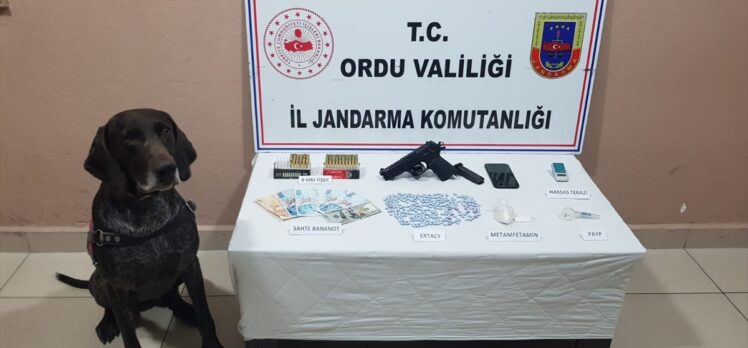 Ordu'da uyuşturucu operasyonunda iki kişi yakalandı