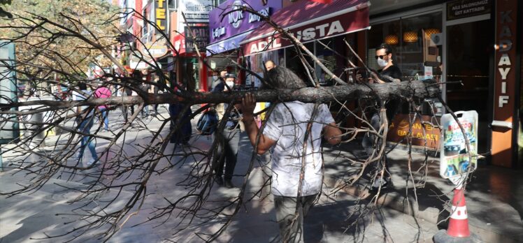 Orman yangınlarına yanmış ağacı omuzuna alıp caddede dolaşarak dikkati çekti