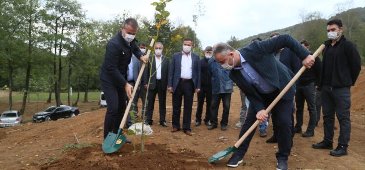 Samsun'da doğaya ve Kovid-19 salgınına dikkati çekmek için Nebiyan Dağı'nda fidan dikildi