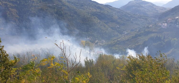 Trabzon'da ormanlık alana sıçrayan yangına müdahale ediliyor