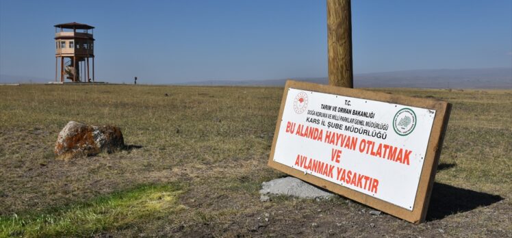 Türkiye'nin 13. Ramsar Alanı Kuyucuk Gölü tekrar kurudu