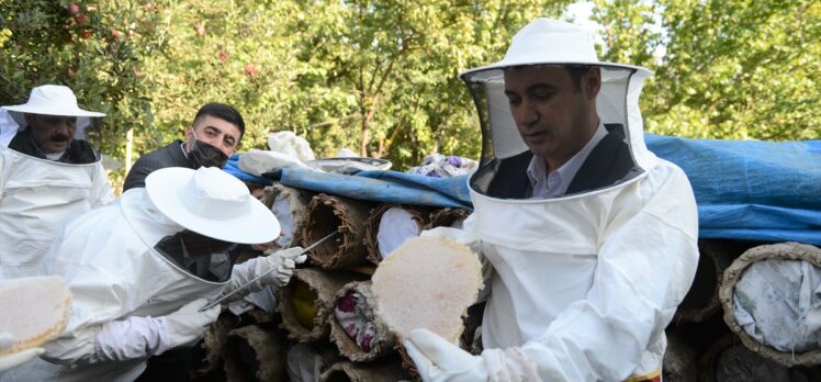 Van'da kara kovan bal kesimi etkinliği düzenlendi