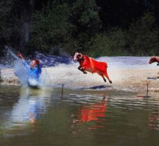 19. Devlet Fotoğraf Yarışması sonuçlandı