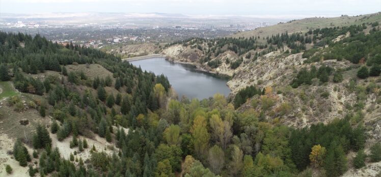 Afyonkarahisar'da çam ağaçları arasındaki “hazan” güzelliği büyülüyor