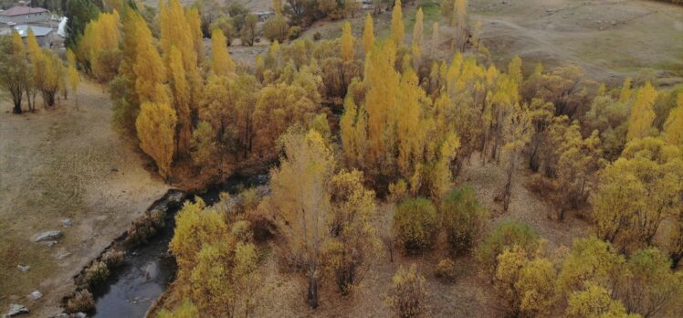 Ağrı'da sonbaharla renk cümbüşü oluşan doğa görsel şölen sunuyor