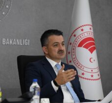 Bakan Pakdemirli: “Tarım sektörü ekonomiye güç katmaya devam edecek”