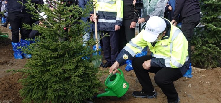 İstanbul'da Milli Ağaçlandırma Günü'nde 160 bin 771 fidan toprakla buluştu