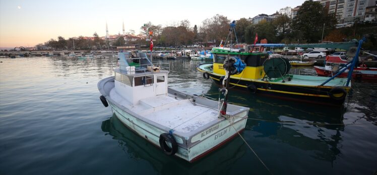 Karadeniz hamsisi en lezzetli dönemine ulaştı