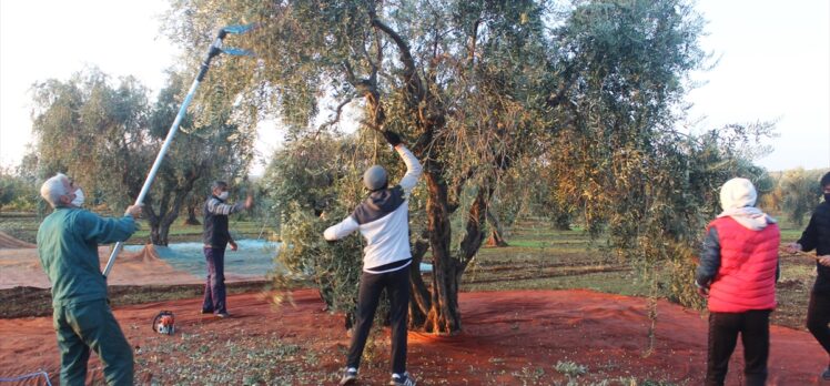 Sokağa çıkma kısıtlamasından muaf tutulan çiftçiler tarlanın yolunu tuttu