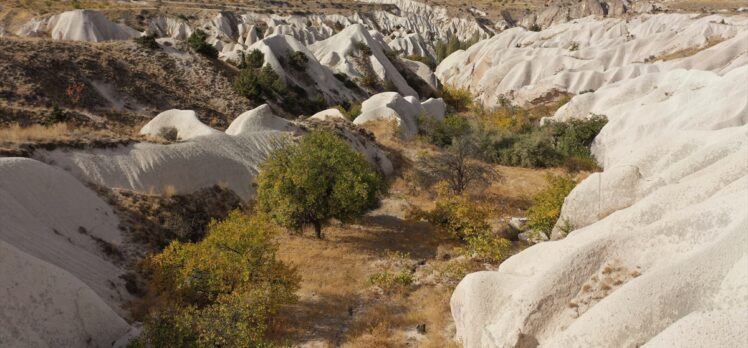 Sonbaharda Kapadokya, “sarı”nın her tonuyla ayrı bir görsel şölen sunuyor