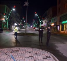 Van, Muş, Bitlis ve Hakkari'de sokağa çıkma kısıtlamasına uyuluyor