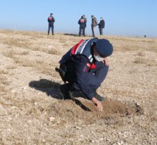 Yozgat'ta jandarma arazide avcılarca vurulduğu iddia edilen “yakalı toy” kuşunu aradı