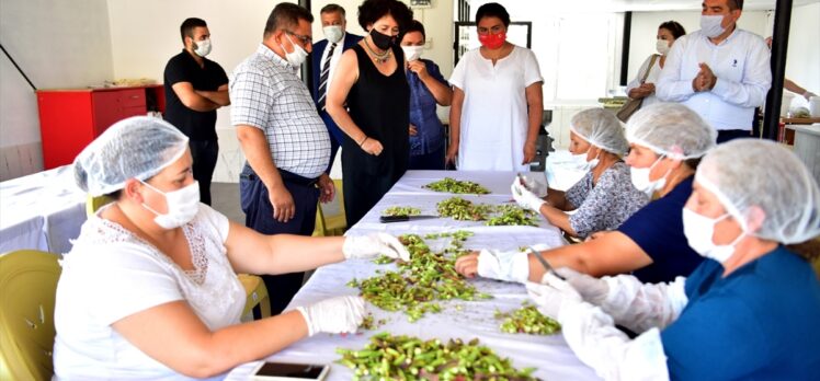 “Bornova kınalı bamyası” Coğrafi İşaret Tescil Belgesi aldı