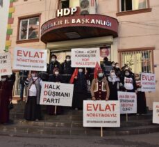 Diyarbakır anneleri 10 Aralık İnsan Hakları Günü'nde HDP'ye seslendi