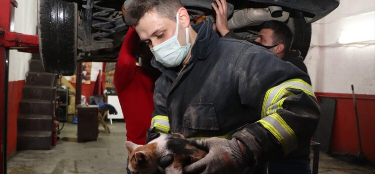 Düzce'de hafif ticari aracın yedek lastik kısmına giren kedi yavrusu kurtarıldı