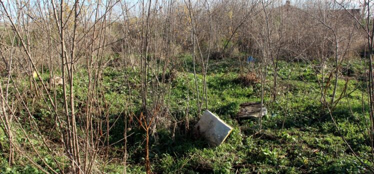 Edirne'deki İtalyan Mezarlığı korunması gerekli kültür varlığı olarak tescil edildi