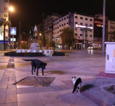 Ege'de sokağa çıkma kısıtlamasına uyuluyor