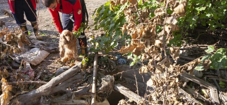 Mersin'de düştüğü kuyuda mahsur kalan köpeği itfaiye kurtardı