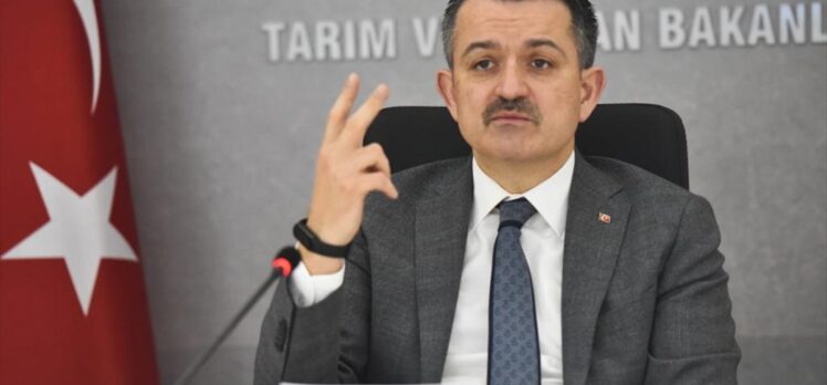 Orman yangınlarına müdahale filosu 2021'de daha da güçlendirilecek