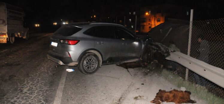 Otomobil ve kamyonet koyun sürüsüne çarptı: 3 yaralı