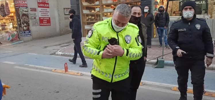 Polis aracının motoruna giren kedi yavrusunu polisler kurtardı