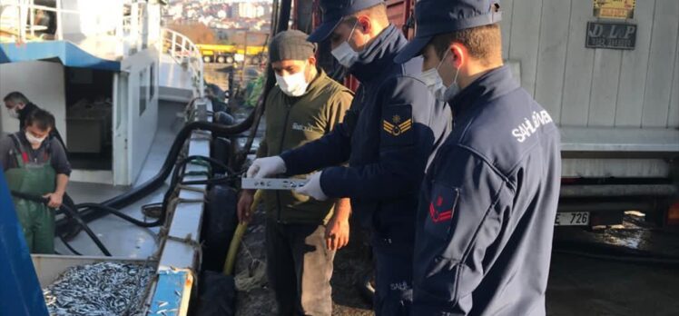 Zonguldak'ta 22 ton küçük boy hamsiye el konuldu