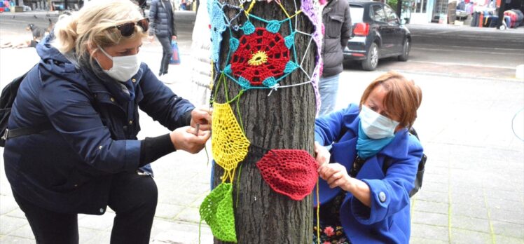 Zonguldak'ta ıhlamur ağaçları örgü motifleriyle süslendi