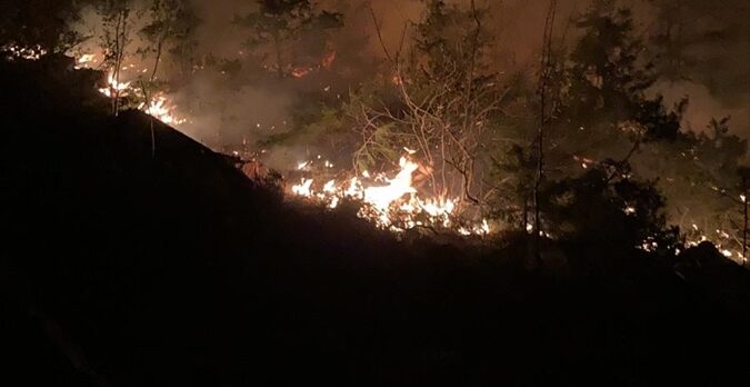 Adana'da çıkan orman yangınına müdahale ediliyor