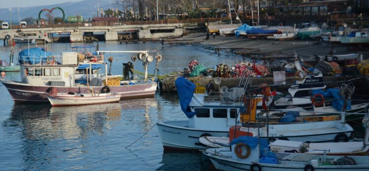 Batı Karadeniz'de balıkçılar hamsi avı için ağ atmayı bekliyor